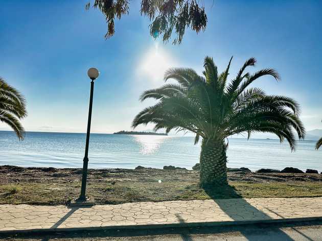 Beach, sea, palm trees